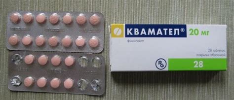 Квамател для кошек: инструкция по применению, показания