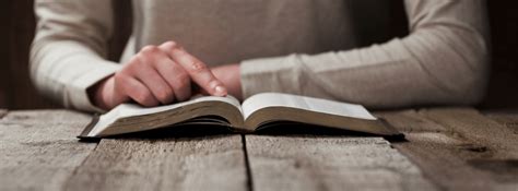 active reading learning  savor  words   page craft