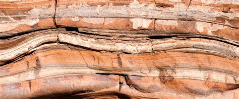 Zechstein reef | The Geological Society of London