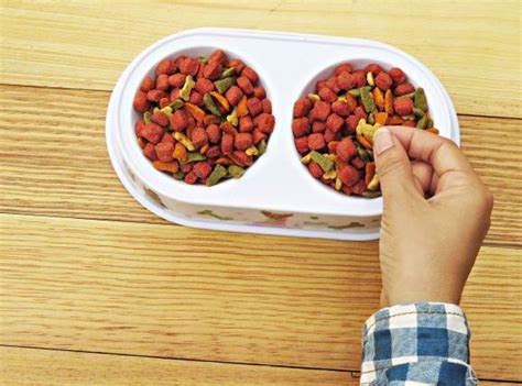 4health original puppy formula dog food review