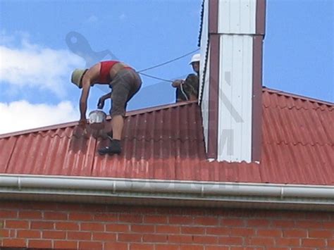 Купить резиновую краску для шифера, по цене от производителя PROMCOLOR ...