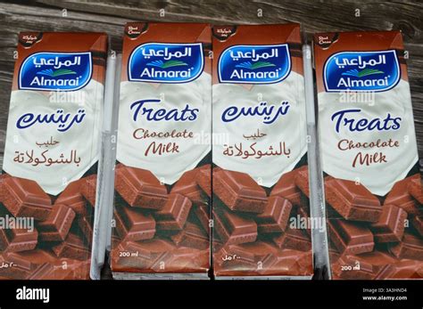 Cairo, Egypt, March 5 2025: Almarai Treats Chocolate Flavor Milk, a