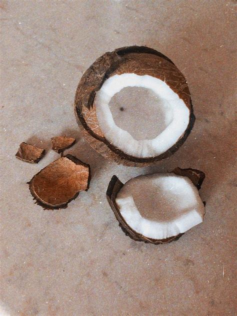 Coconut