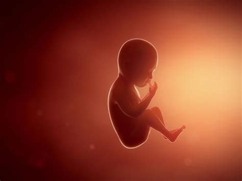 These Twins Will Make You Rethink Race