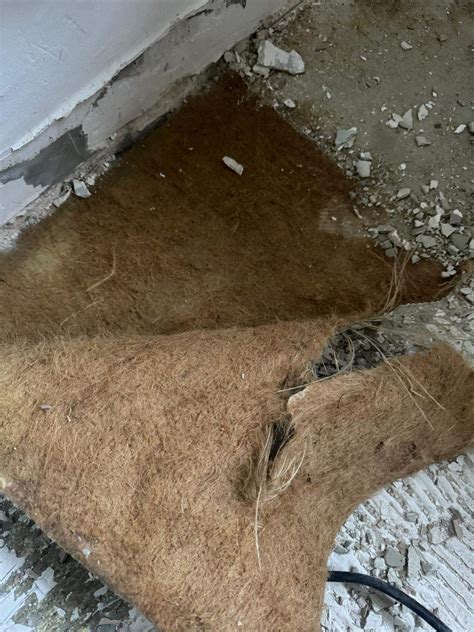 Asbest Renovierungsarbeiten? (Handwerk, Renovierung, Boden)