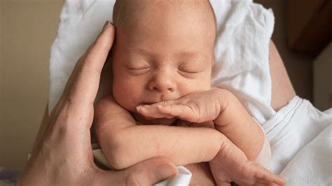 Taking Vitamin B3 During Pregnancy Could Help Prevent Birth Defects And ...