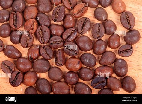 coffee beansclose  studio shot stock photo alamy