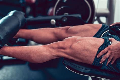 Leg Day: Why Leg Day Is so Important