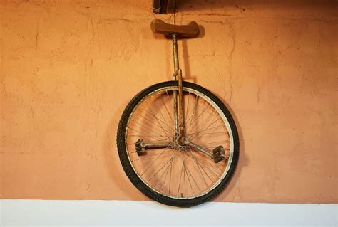 guide  buying  maintaining bikes   bike shops