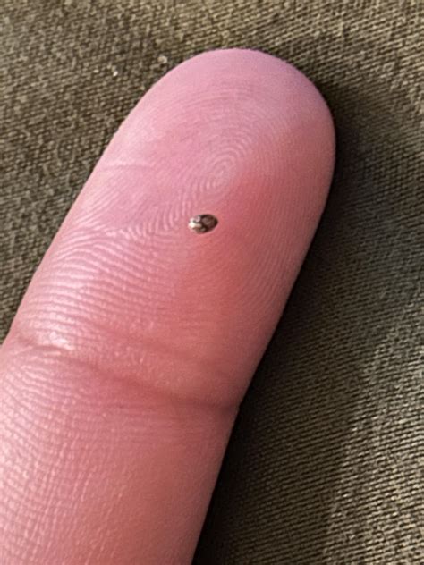 Souirensu: This Tiny Startup Could Be HUGE. Here's Why. Image 12