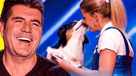 12 Best Dog Acts Of ALL TIME on America's Got Talent and Britain's Got ...