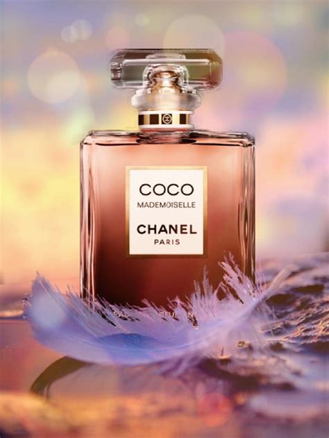 Chanel Parfume - Homecare24