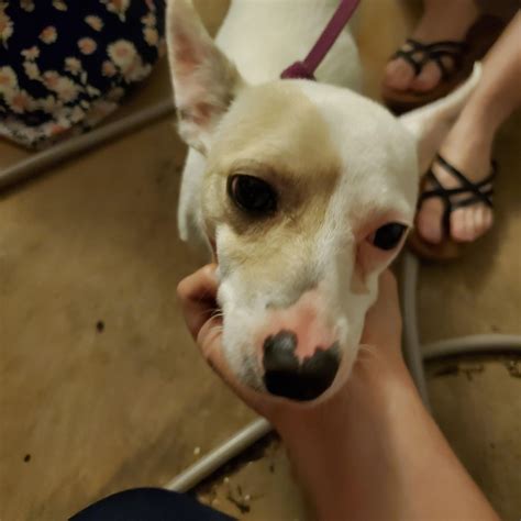 39 best Honolulu International Airport images on Pholder