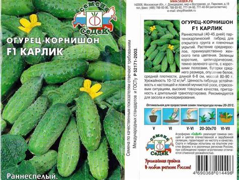 Огурцы: семена лучшие самоопыляемые пучковые длительного плодоношения ...
