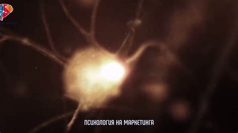 "Психология на Маркетинга" - Невромаркетингът и потребителското ...