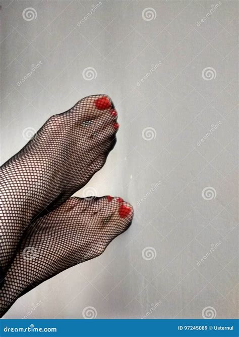 Woman`s feet in fishnet. stock image. Image of descalzo - 97245089
