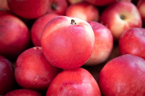 Супермаркети оновили ціни на яблука, груші та виноград – AgroReview