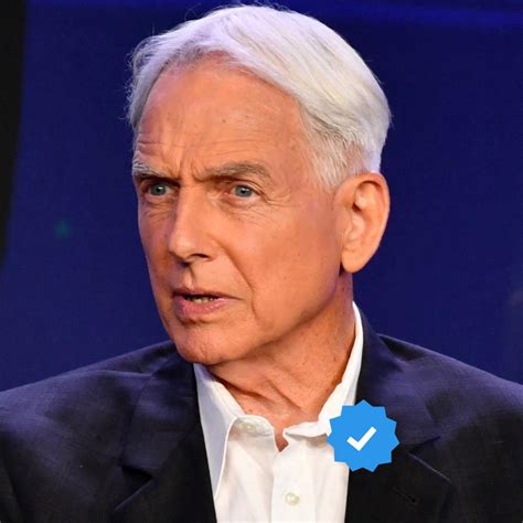 Mark McDermont: Professional Profile and Career History 3