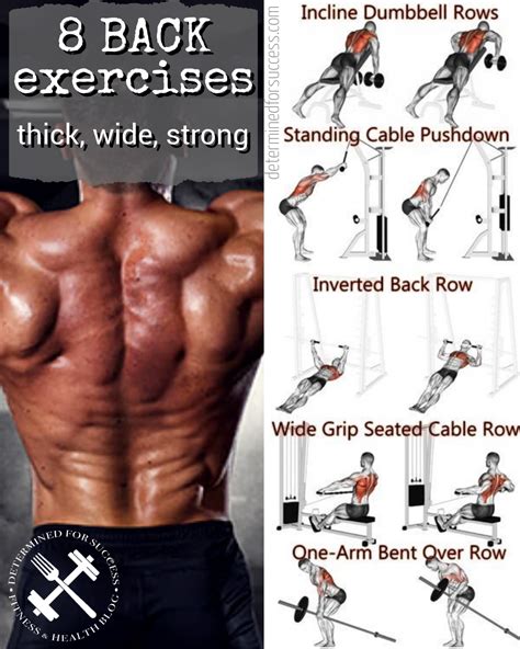 #2019 8 BACK exercises that give you a thicker, wider, stronger BACK ...