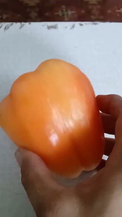 Самый лучший перец в мире 2024 г.! Высокоурожайный, вкусный и сладкий ...