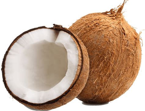 fresh coconut  walmartcom
