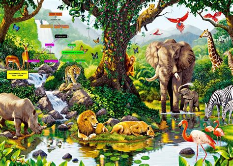 O Que E Comunidade Na Biologia - 5