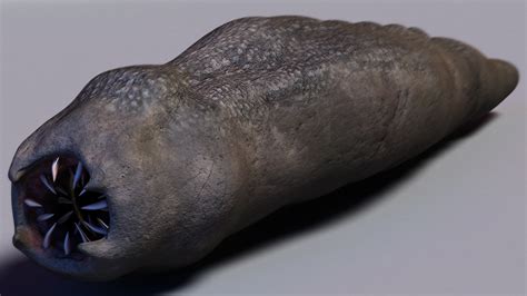 worm monster turbosquid