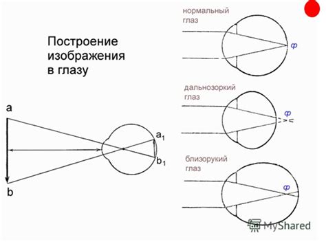 Презентация на тему: "Физиологические особенности детей старшего ...