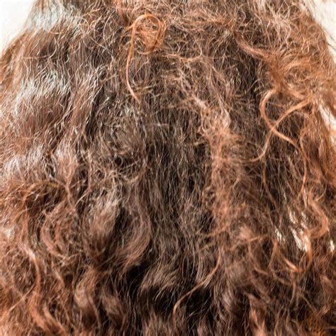 Fios De Cabelo Grossos E Ásperos - Cabelo poroso cacheado: confira dicas de como cuidar dos fios ásperos ...