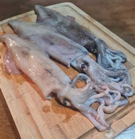 Punjene lignje - Dom i obitelj - Sezonska kuhinja - Burza Portal