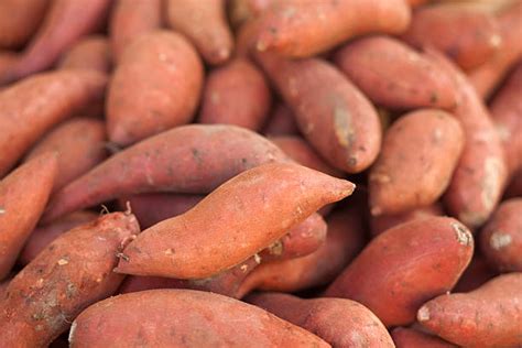 Best Yam Stock Photos, Pictures & Royalty-Free Images - iStock