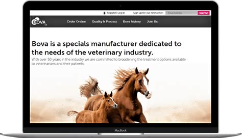Bova UK e-commerce platform and website | BrightMinded