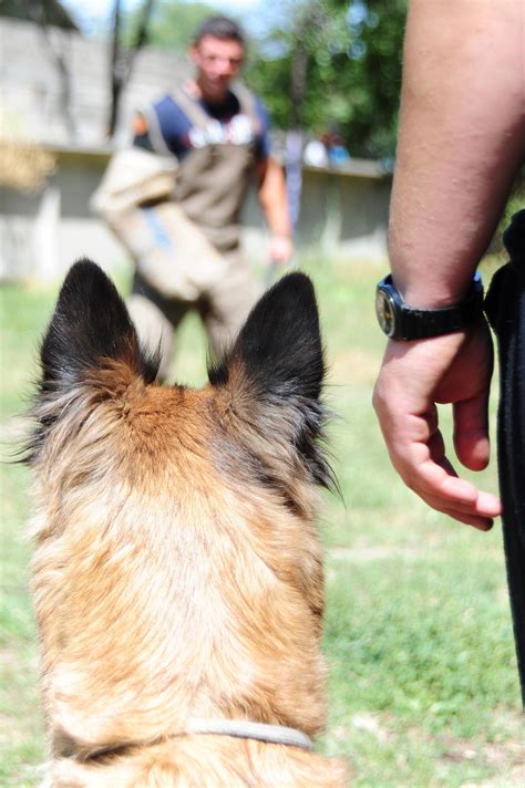 Airmen partner with Kyrgyz security service K-9 team > Air Force