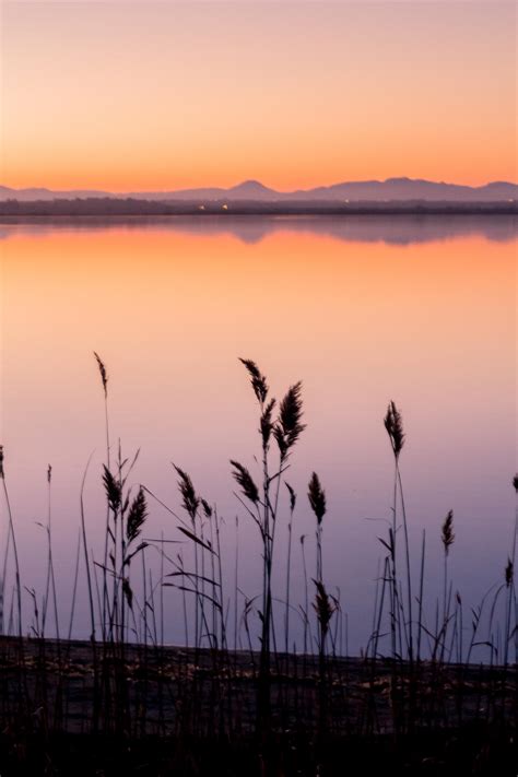 Etang de Canet by okenwillow on DeviantArt