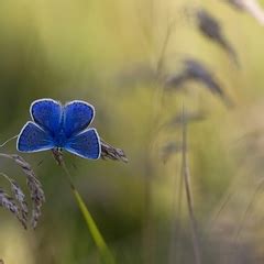 Пеликан - детям. Ижевск. | Детская и подростковая одежда торговой марки ...