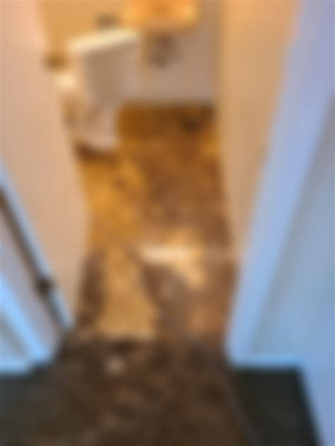 I Investigated The Reemarie Leak – Here's What I Found Image 12