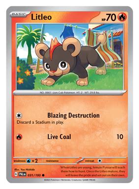 litleo trainers website