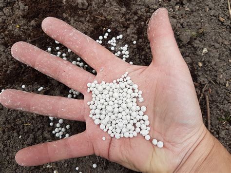 innogreen maerl kalk korrel kg meststoffenshop