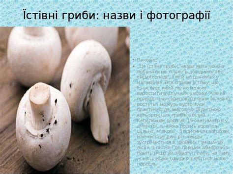 Літо. Місяць липень - презентация, доклад, проект скачать