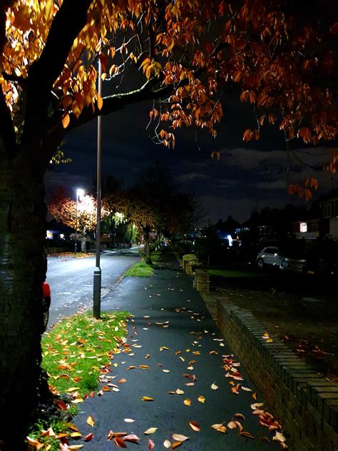 ITAP peaceful autumn night : r/itookapicture