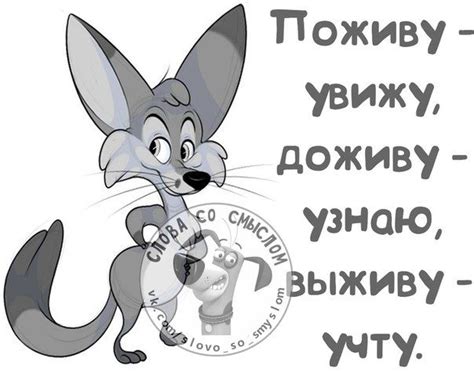 Юмор, цитаты, ... | Смешные открытки, Веселые картинки, Вдохновляющие фразы