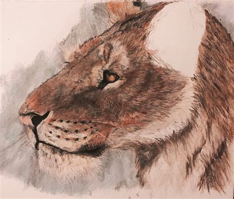 Homotherium by Mechafire1234 on DeviantArt