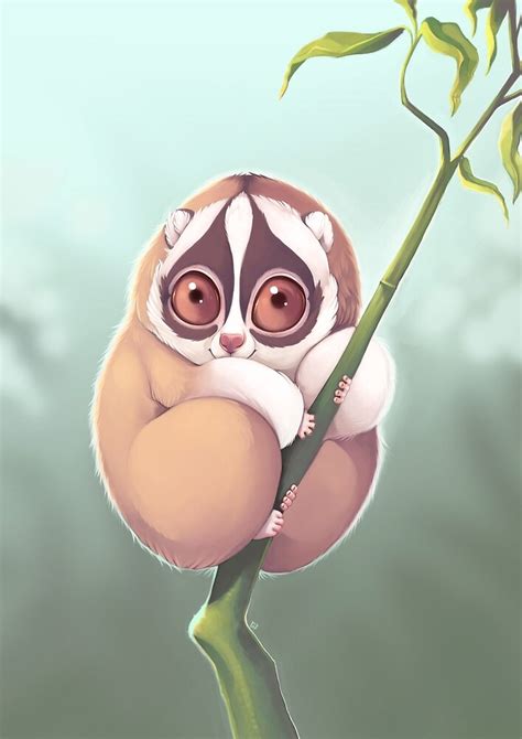 "Slo Loris" by sammylewis | Redbubble
