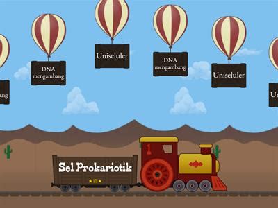 Perbedaan struktur sel prokariotik dan sel eukariotik - Sumber daya ...