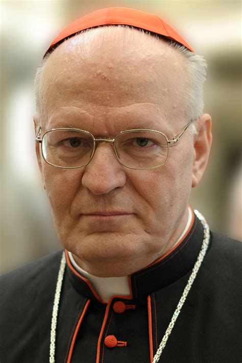 Quiénes son los candidatos para ser el próximo Papa tras el