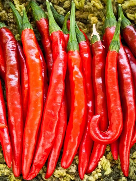 Перец острый Кайенский (Cayenne)