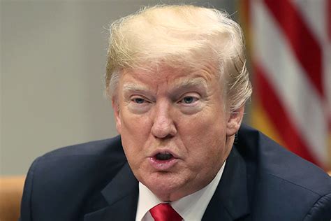Трамп объявил о победе над ИГ в Сирии: Политика: Мир: Lenta.ru