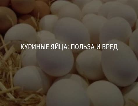 Состав куриного яйца, пищевая ценность, вредные свойства куриных яиц ...