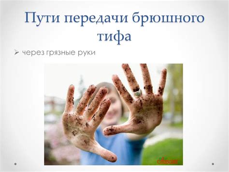 Презентация - Брюшной тиф » Привет Студент!