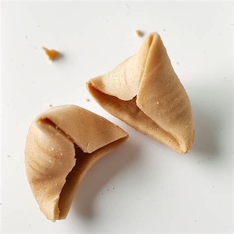 fortune cookie isolated art  stock photo public domain pictures